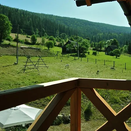 Kozichky