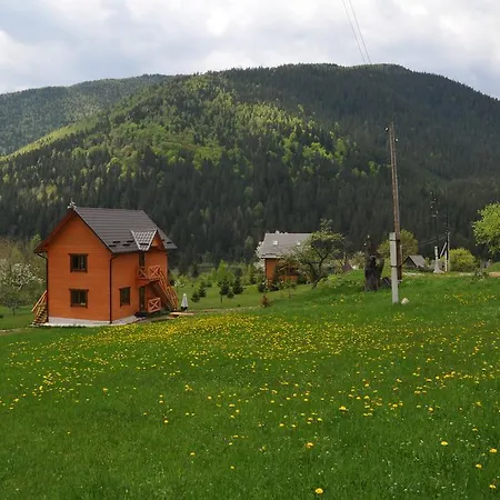 Kozichky