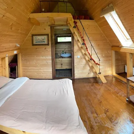 Guest house Kozichky
